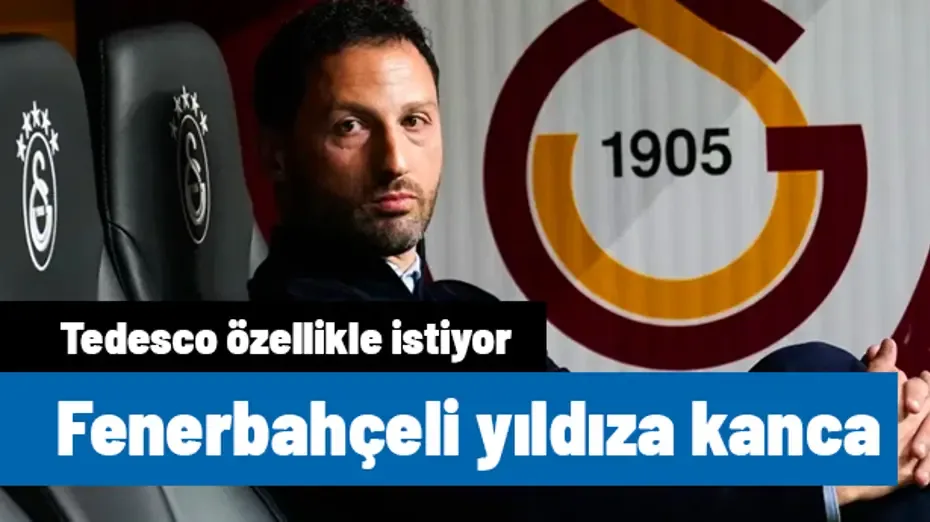 Fenerbahçe'ye piyango vurdu! Domenico Tedesco özellikle istiyor