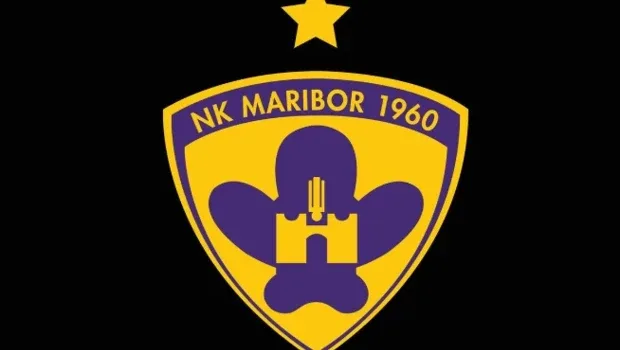 NK Maribor nerenin takımı, sahibi kim?