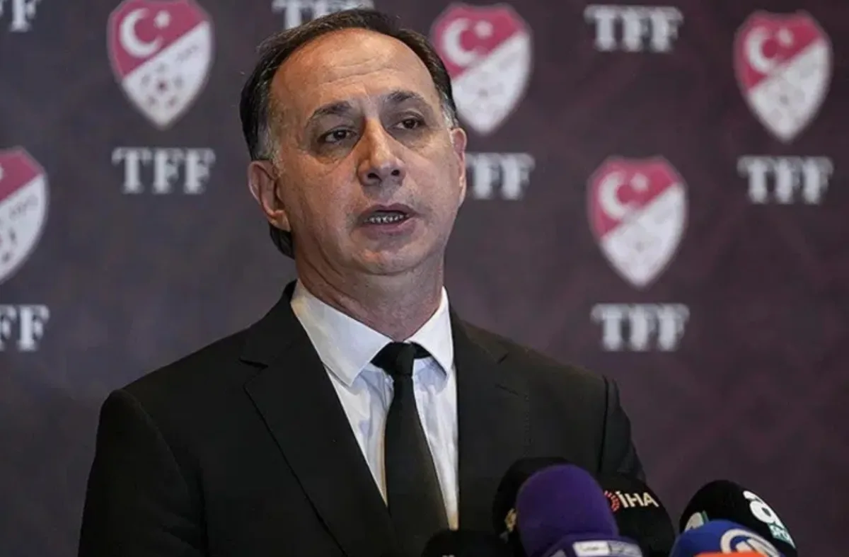Gözaltına alınan Ferhat Gündoğdu'nun ifadesi ortaya çıktı