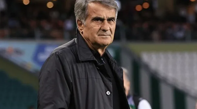 Şenol Güneş'in milli takım yorumu